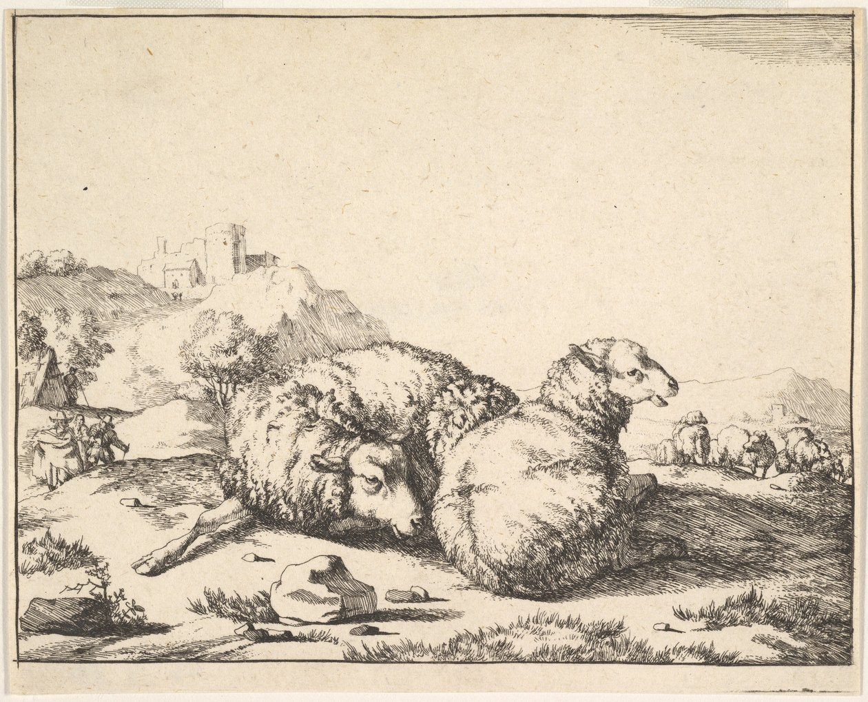 Ovce, ze sady 16 talířů, 1664. od Marcus de Bye