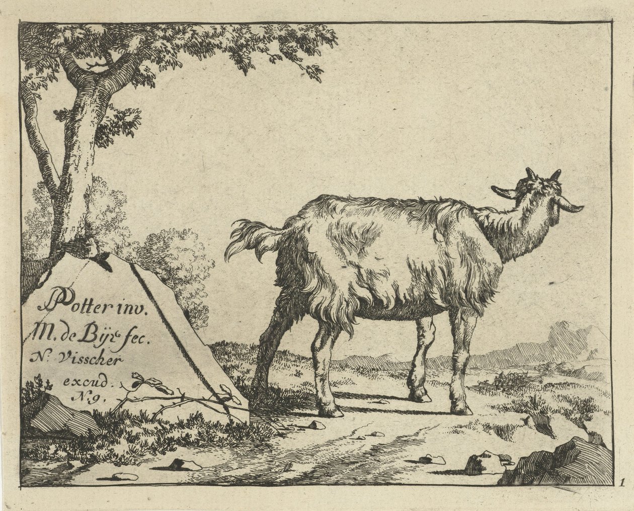 Stojící koza při pohledu zezadu Goats and Bucks (název série) od Marcus de Bye