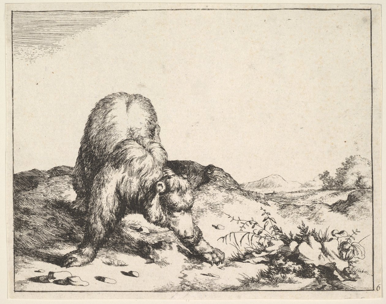 od The Set of The Bears, ca. 1664. od Marcus de Bye