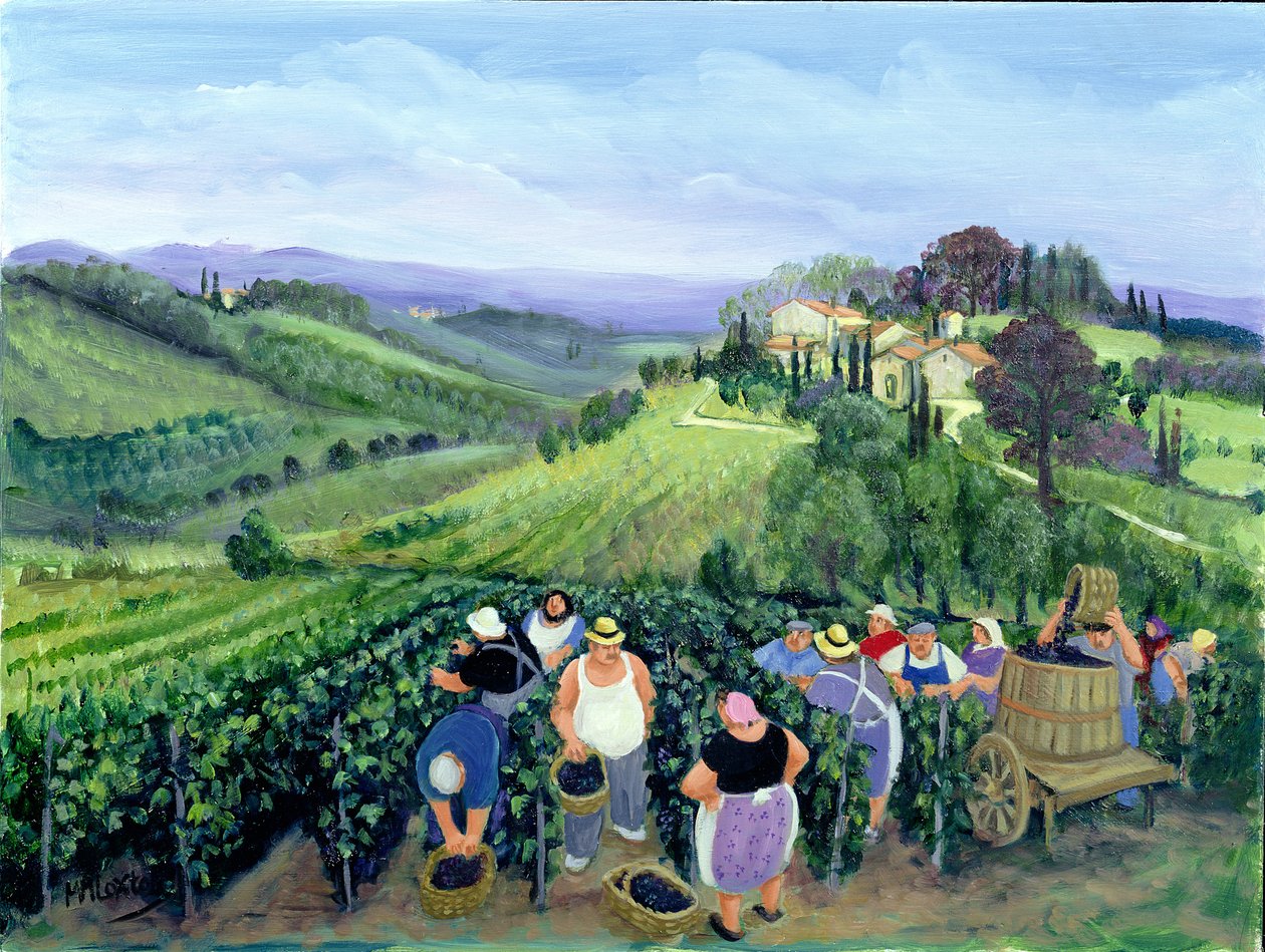 Krajina Chianti (olej na plátně) od Margaret Loxton