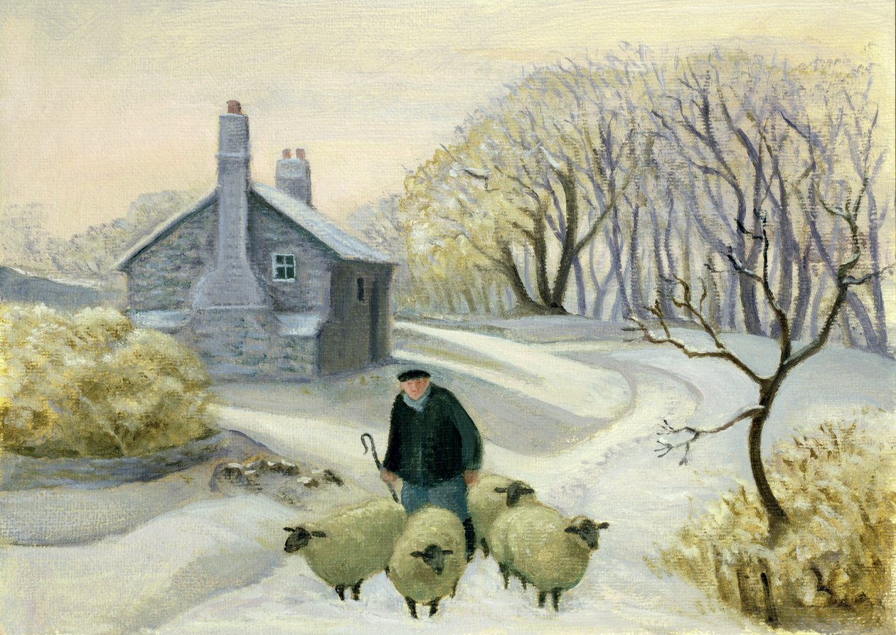 Vedení ovcí od Margaret Loxton