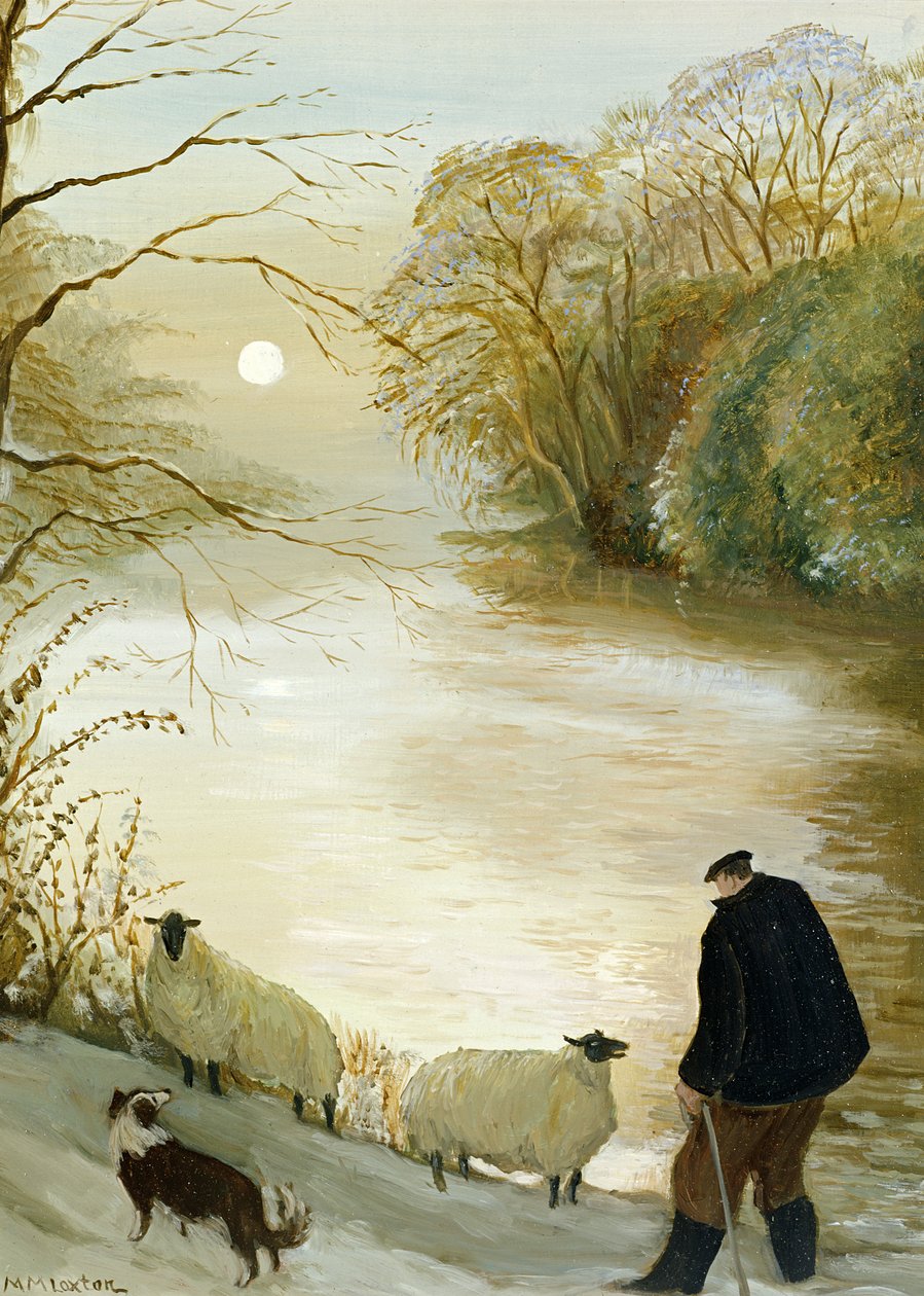 Zatoulané ovce od Margaret Loxton