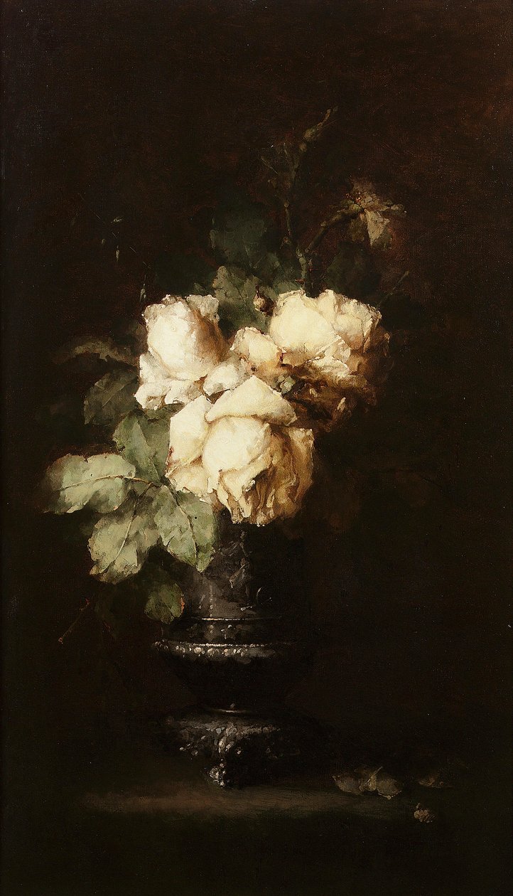 Margaret Roosenboom - Bílé růže od Margaretha Roosenboom