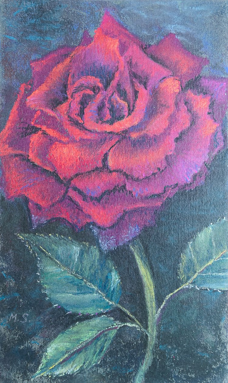 Krása růže, 2020 (pastel) od Margo Starkey