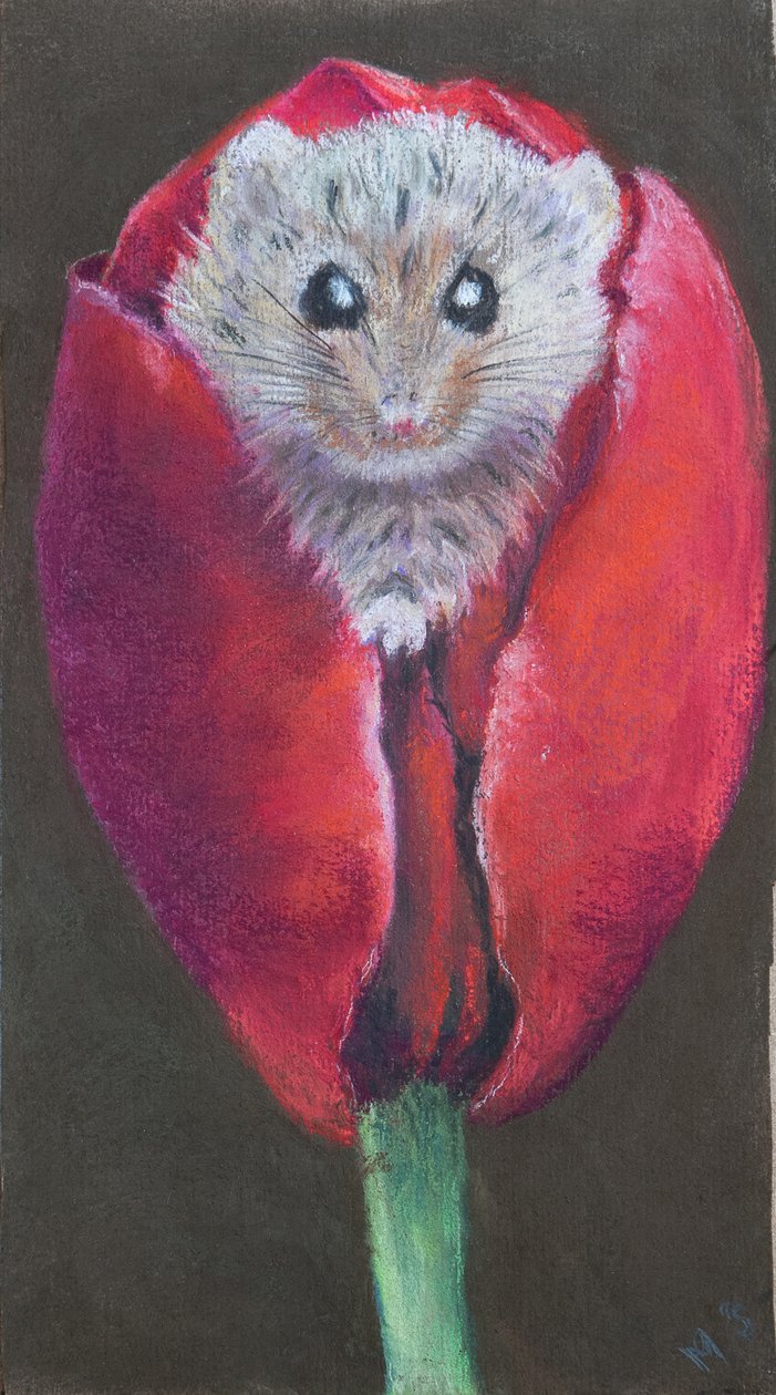 Dveřní myš v tulipánu, 2022 (pastel) od Margo Starkey
