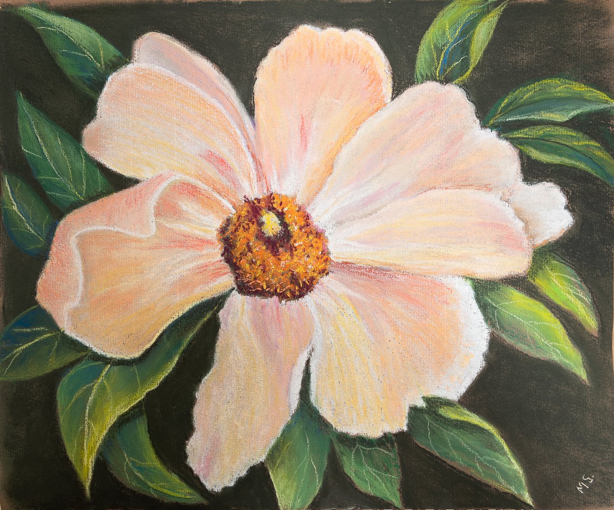 Velká pivoňka, 2022 (pastel) od Margo Starkey