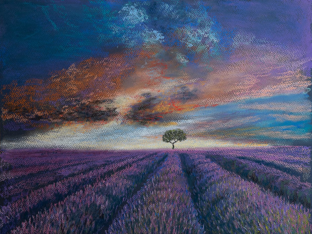 Levandulová pole v Normandii, 2020 (pastel) od Margo Starkey