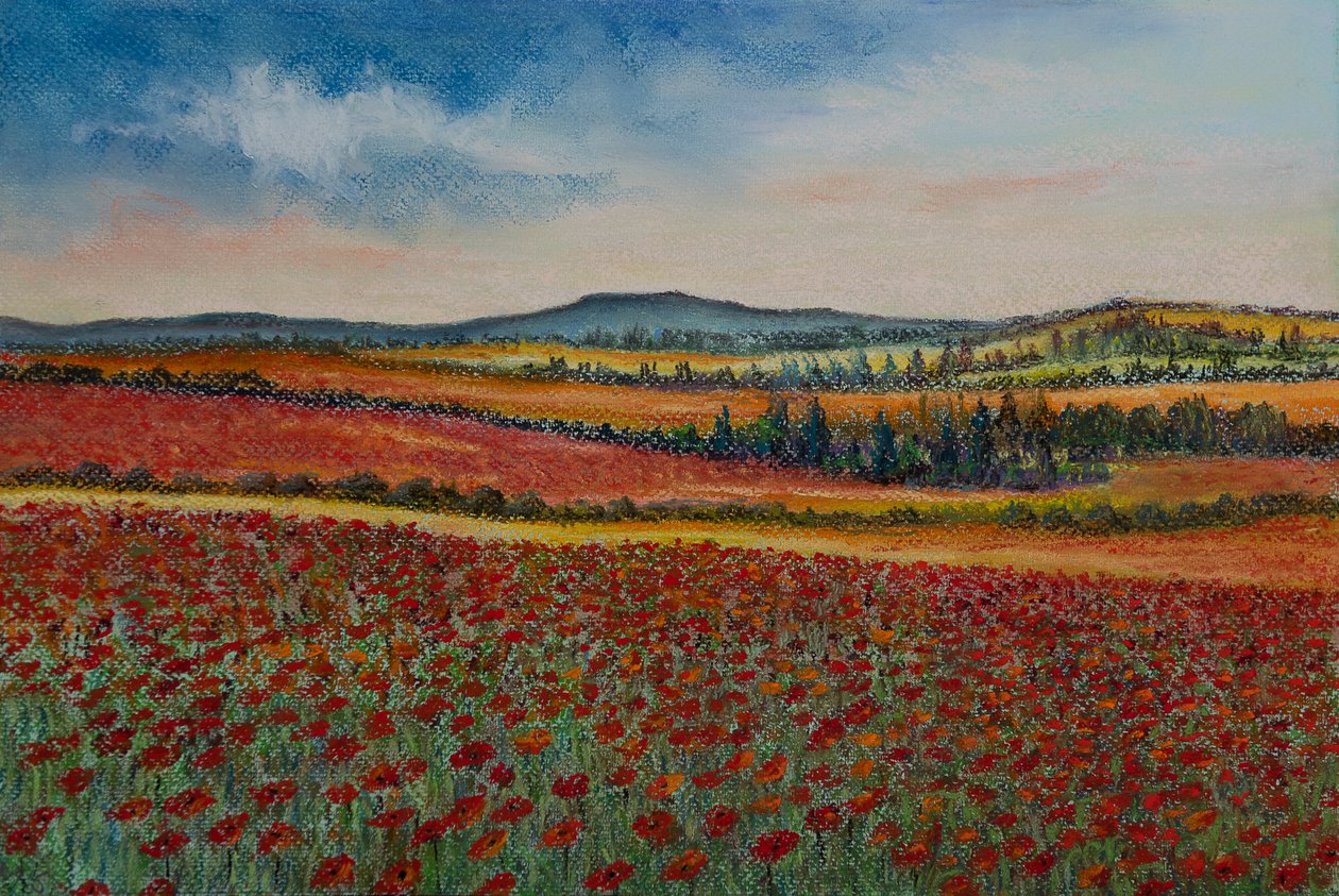 Maková pole..Flandry, 2020 (pastel) od Margo Starkey