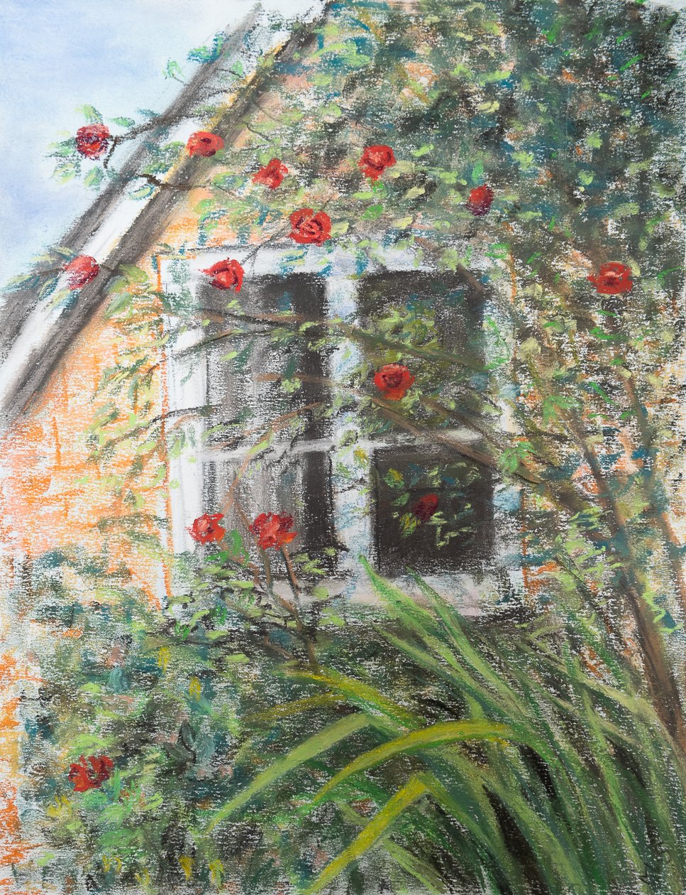 Růže nad oknem, 2022 (pastel) od Margo Starkey