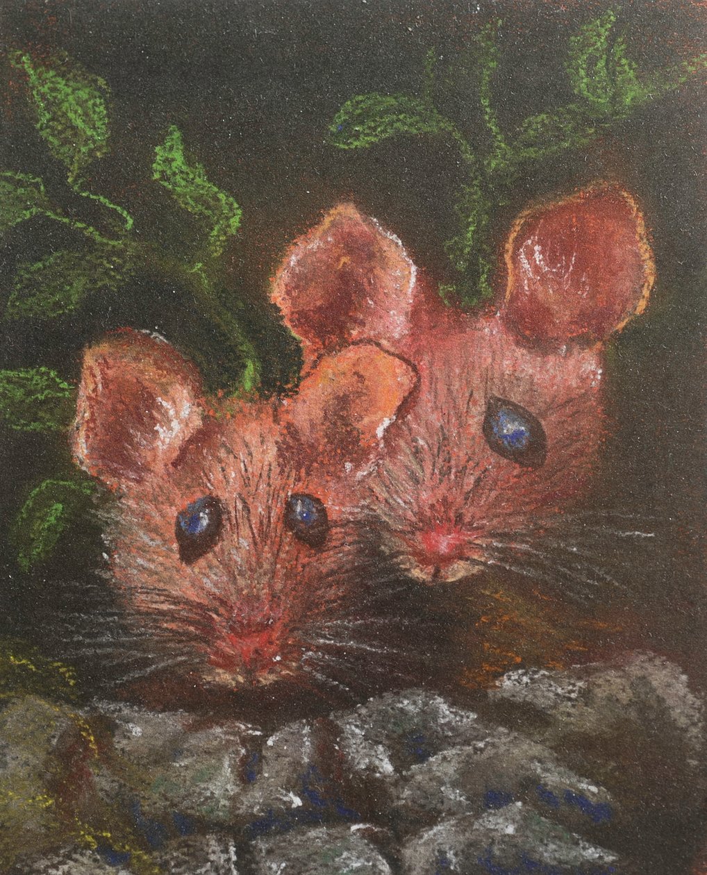 Dvě malé myšky, 2020 (pastel) od Margo Starkey