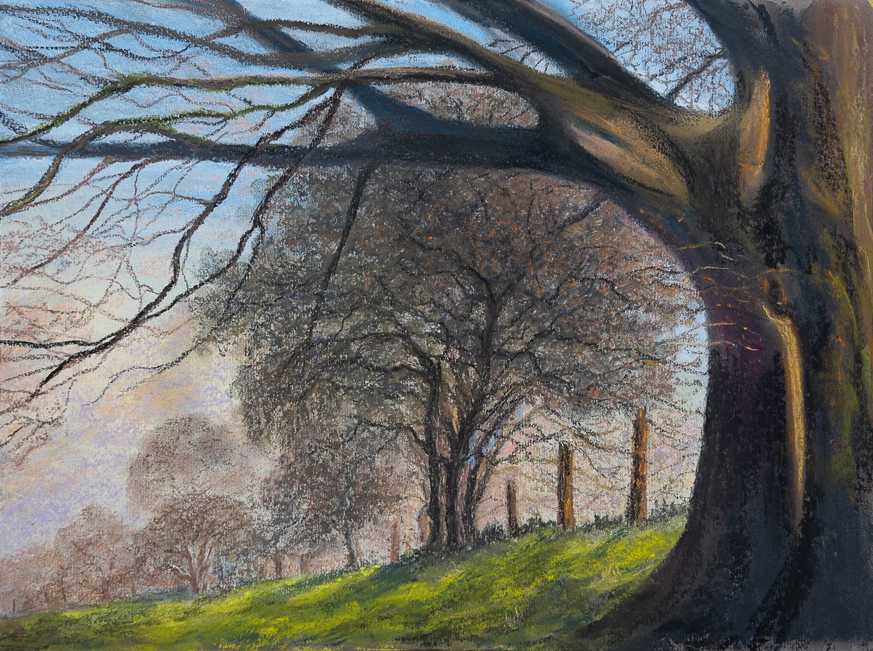 Naváté stromy.. Shroesbury, 2020 (pastel) od Margo Starkey