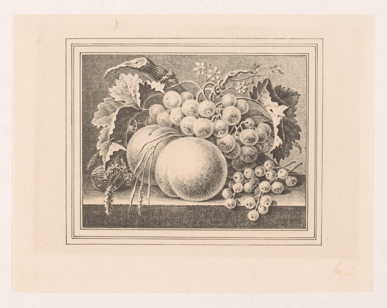 Složení s ovocem v rámu od Maria Geertruida de Goeje Barbiers (attributed to)