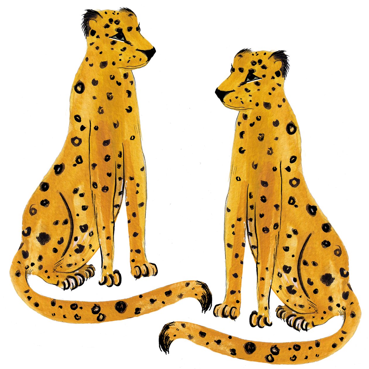 Leopardí pár, 2020 od Marianna Kulukundis