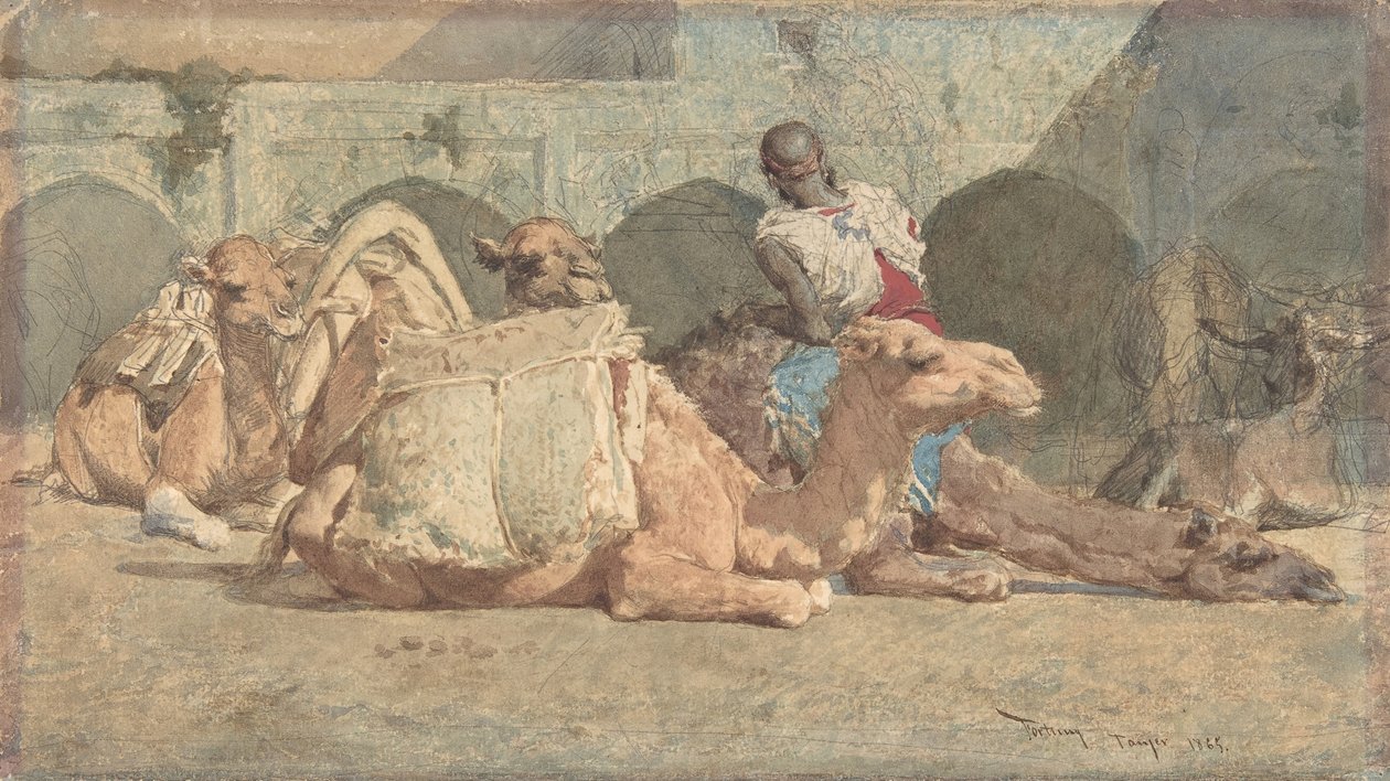 Velbloudi Reposing, Tanger, ca. 1854-74. od Mariano José María Bernardo Fortuny y Carbó