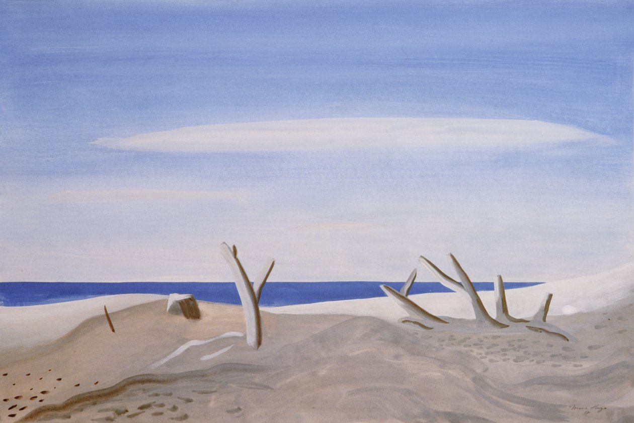 Bois Flottes du Grand Radeau, 1987 od Marie Hugo