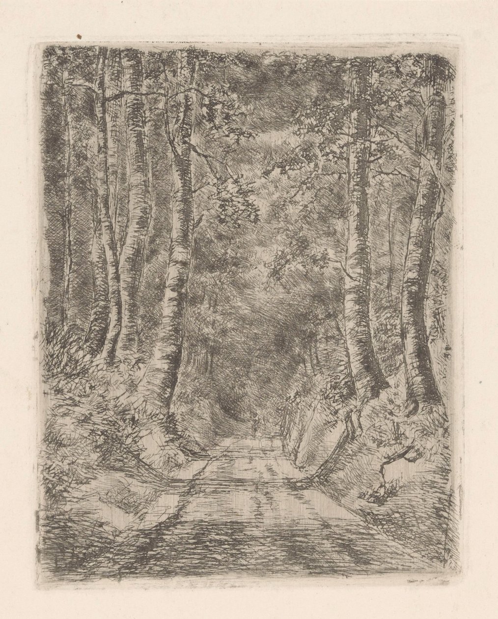 Les podél zapadlé cesty od Marie Adolphine van der Goes van Dirxland