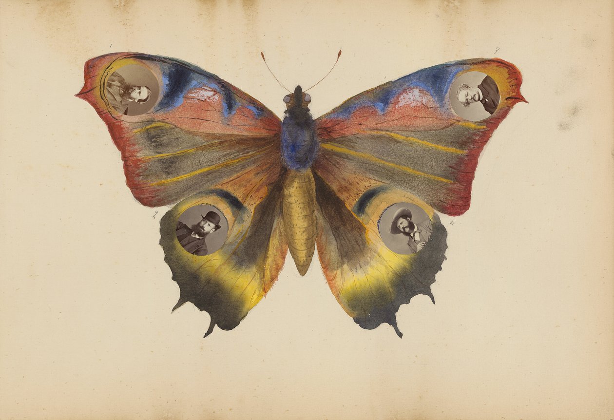 Album Madame B od Marie Blanche Hennelle Fournier