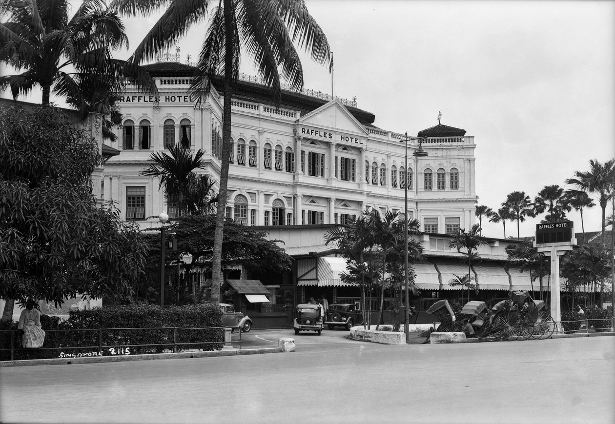 Pohled na hotel Raffles, Singapur od Marine Photo Service