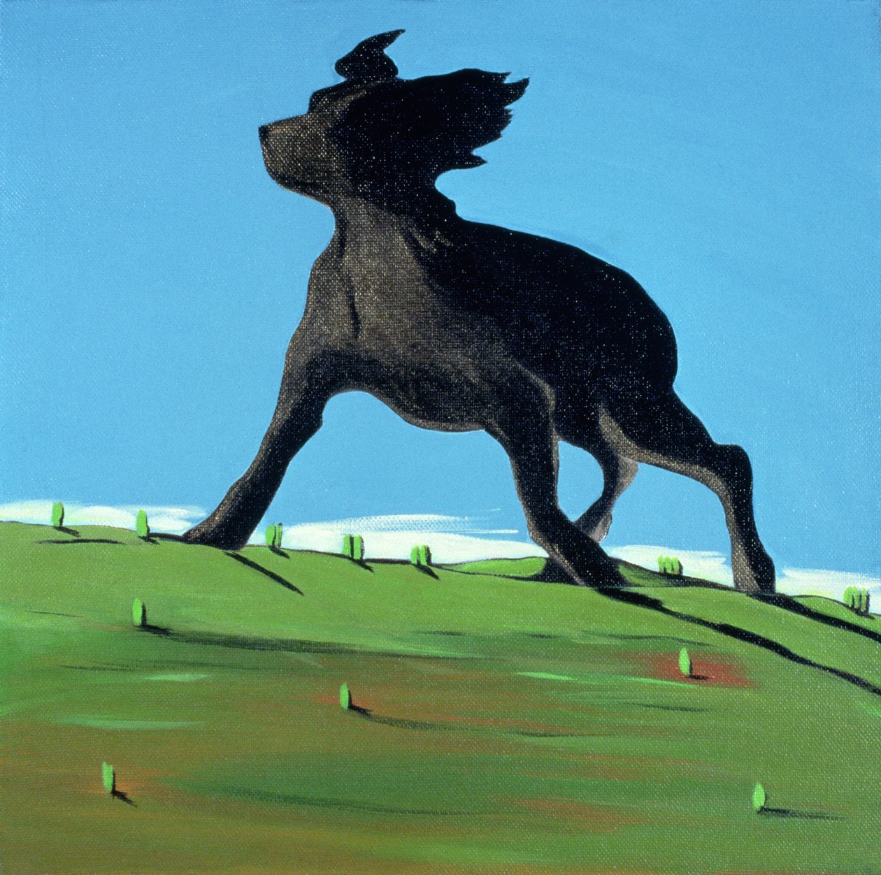 Amazing Black Dog, 2000 (akryl na plátně) od Marjorie Weiss