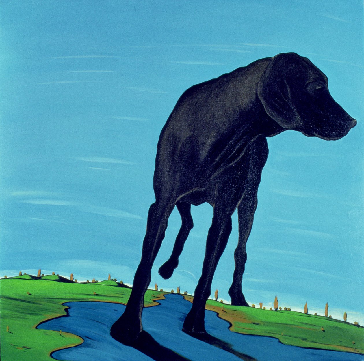 Joes Black Dog (nový pohled), 2000 (akryl na plátně) od Marjorie Weiss