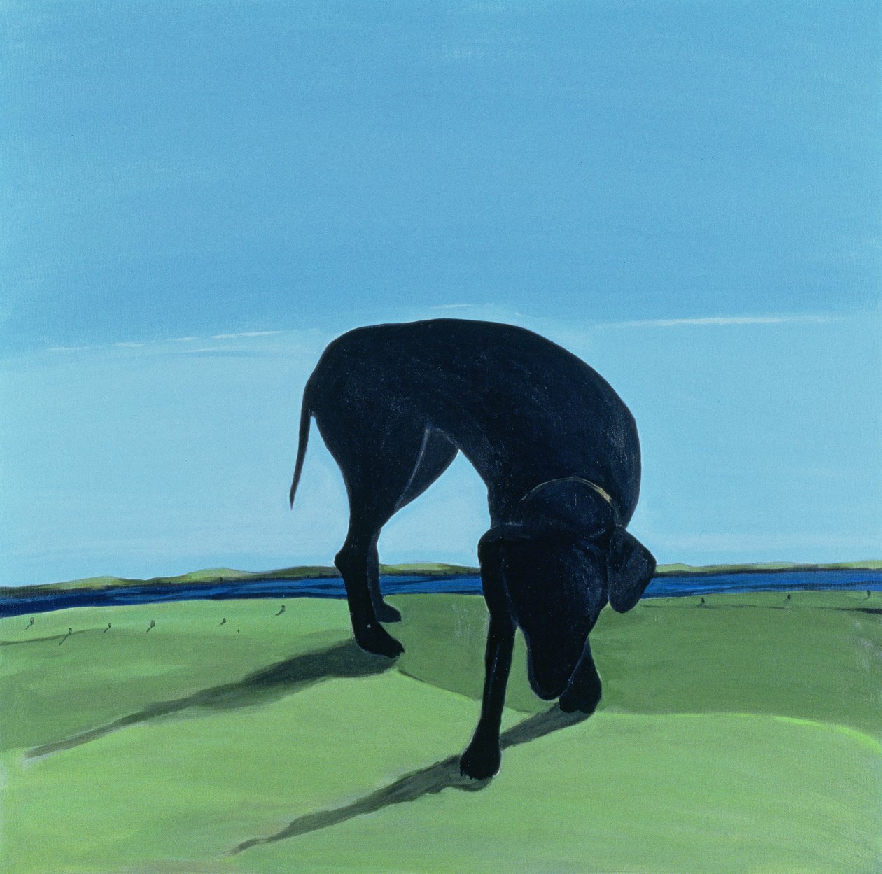 Joes Black Dog, 1996 (akryl na plátně) od Marjorie Weiss