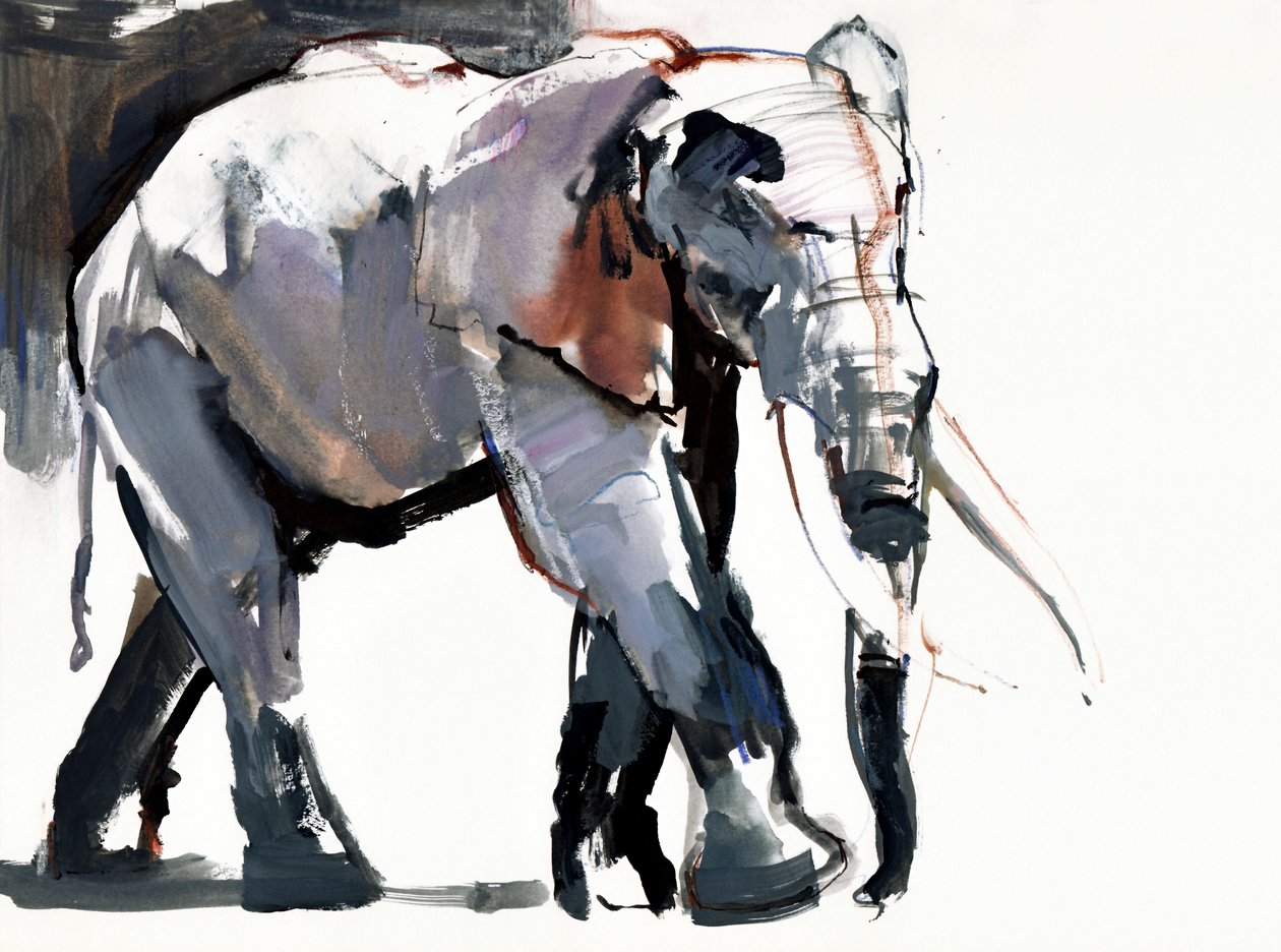 Slon africký, 2012, (kombinovaná technika na papíře) od Mark Adlington