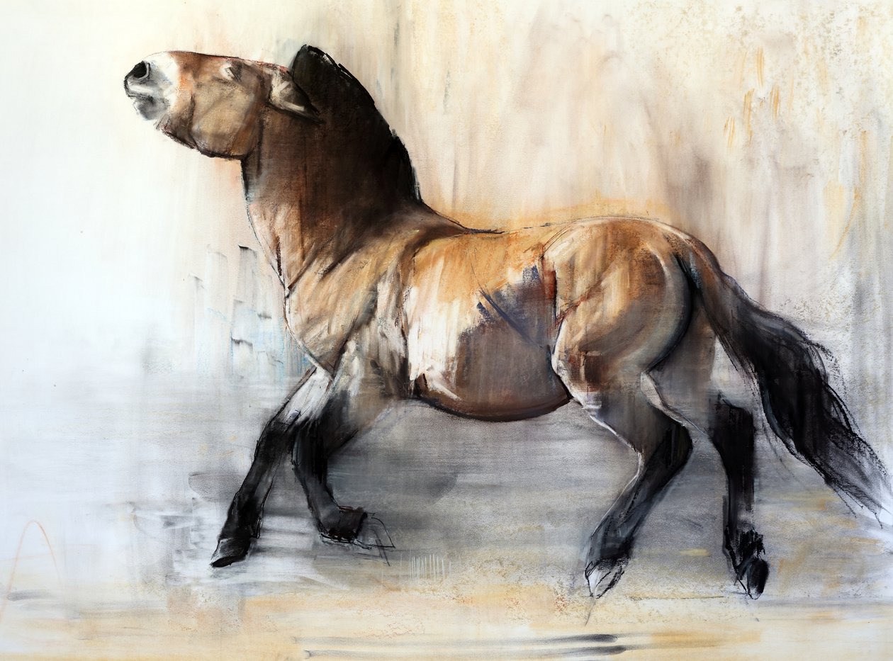 Ancient Horse (Převalský v zimě), 2014 od Mark Adlington