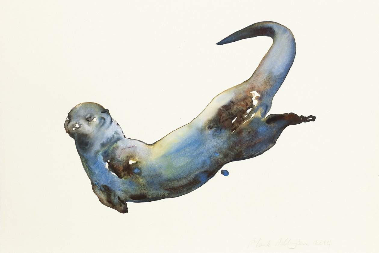 Aqua, 2014, (akvarel na papíře) od Mark Adlington