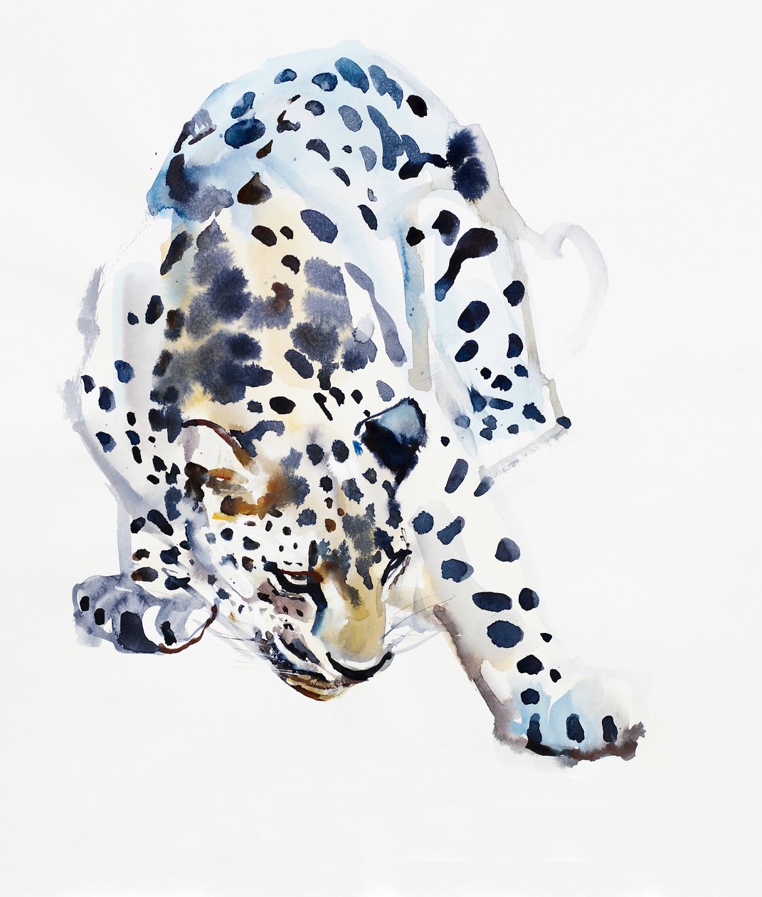 Arabský leopard, 2008 od Mark Adlington