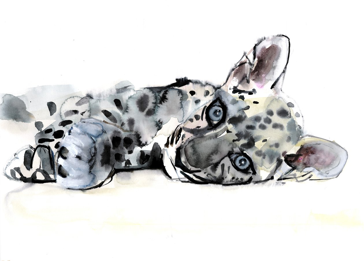 Mládě leoparda arabského, 2008 od Mark Adlington