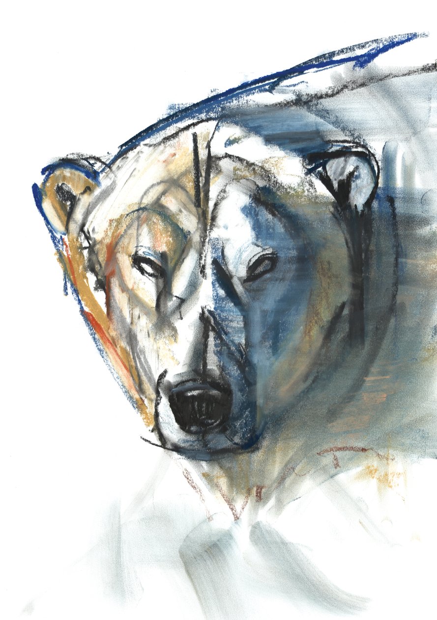 Arktická ikona, 2015, (kontura a pastel na papíře) od Mark Adlington