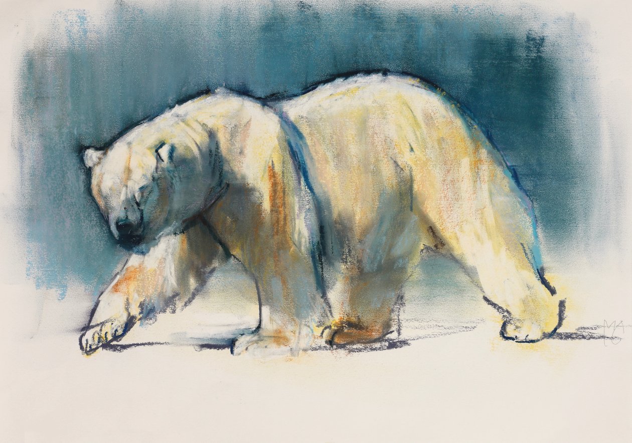 Arctic Light, 2017 od Mark Adlington