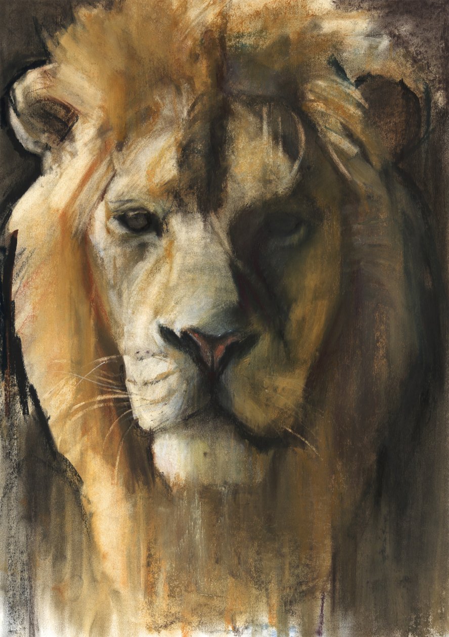 Asijský lev, 2015, (pigment, pastel a conté na papíře) od Mark Adlington