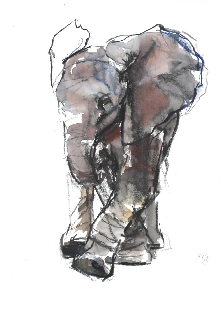 Studie slůňat, 2018 od Mark Adlington