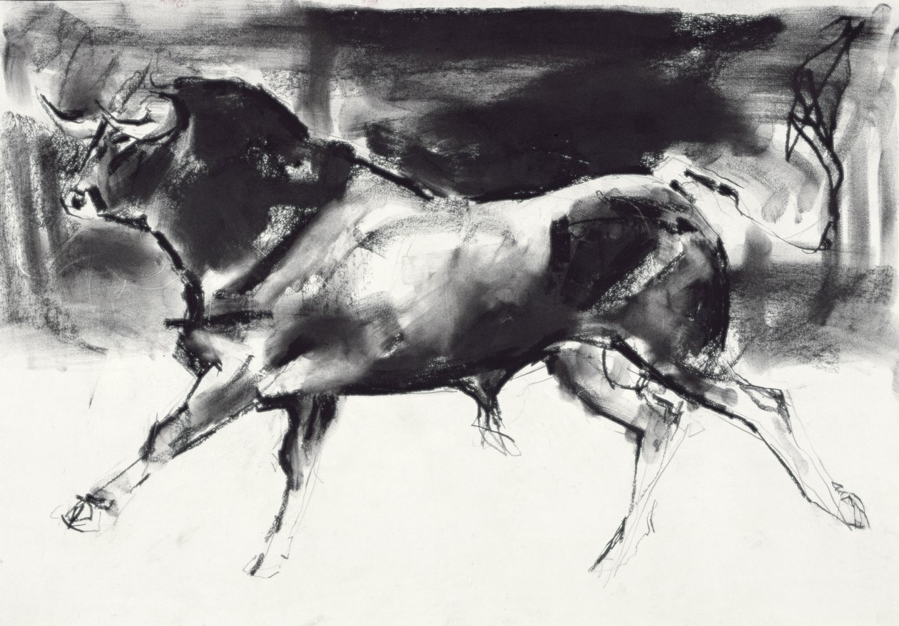 Black Bull (uhlí na papíře) od Mark Adlington