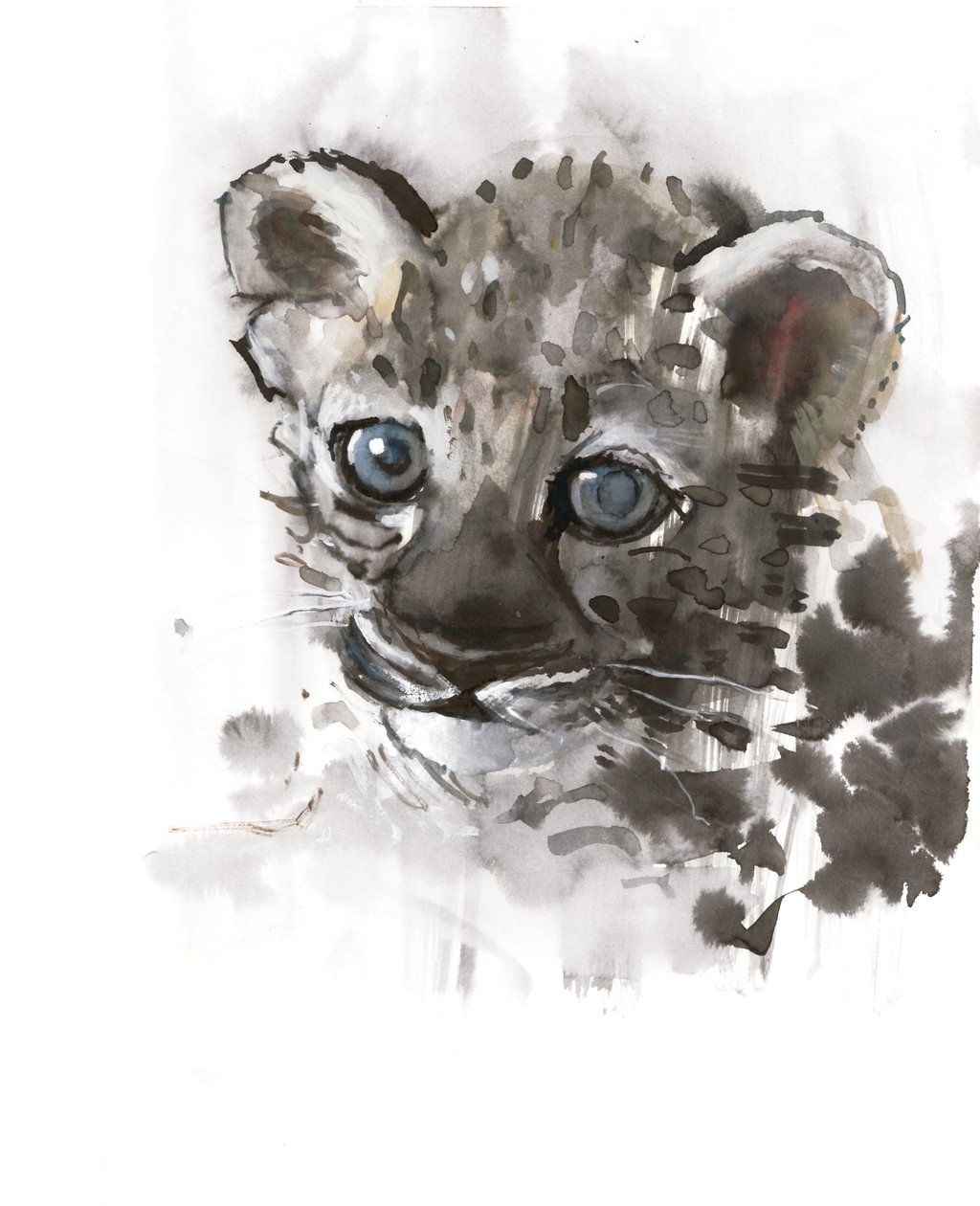 Modré oči (mládě arabského leoparda), 2008 od Mark Adlington