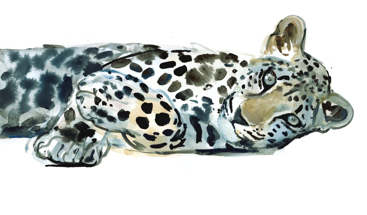 Broken Siesta, 2015, (akvarel na papíře) od Mark Adlington