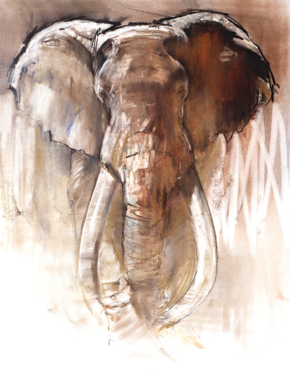 Bull Elephant, 2018 od Mark Adlington
