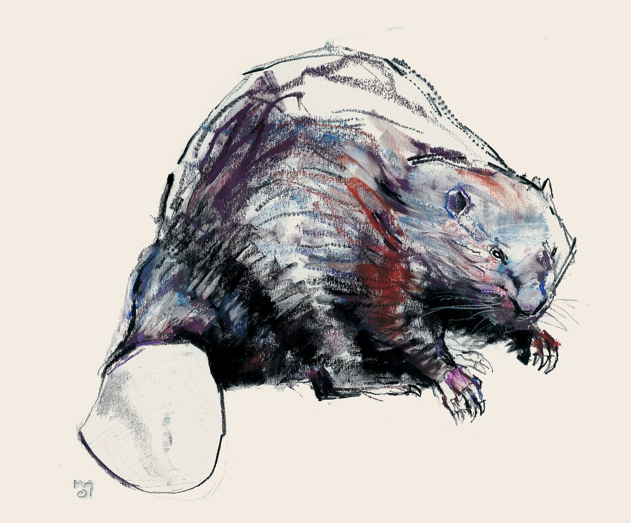 Castor Fiber, 2001 (uhlí a konte na papíře) od Mark Adlington