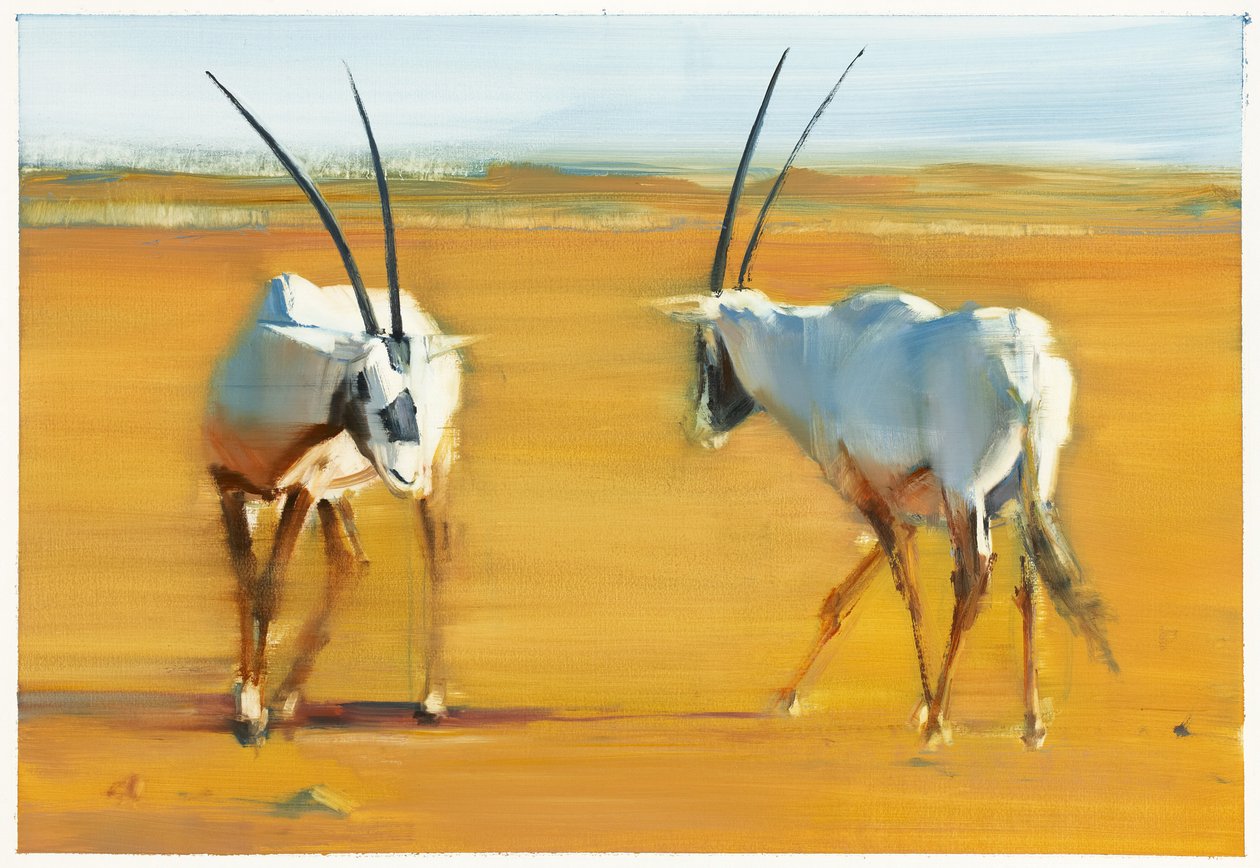 Circling Arabian Oryx, 2010 (olej na papíře) od Mark Adlington