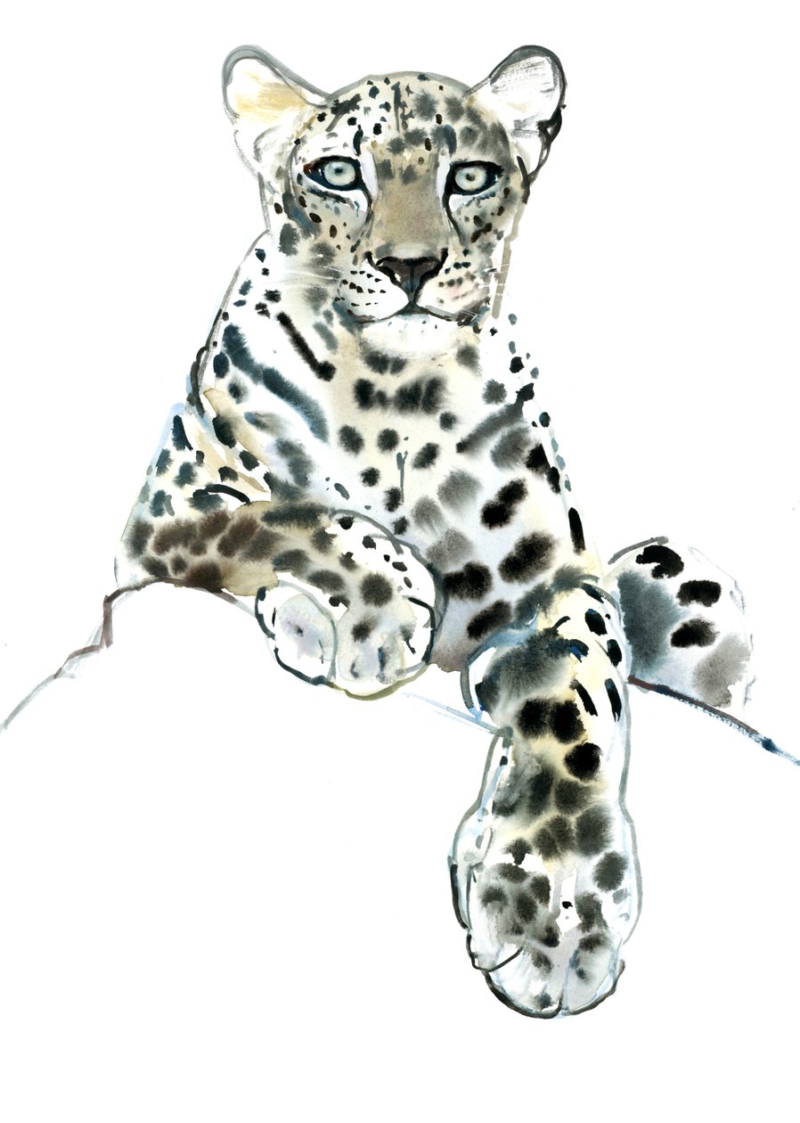 Direct (arabský leopard), 2015, (akvarel a kvaš na papíře) od Mark Adlington