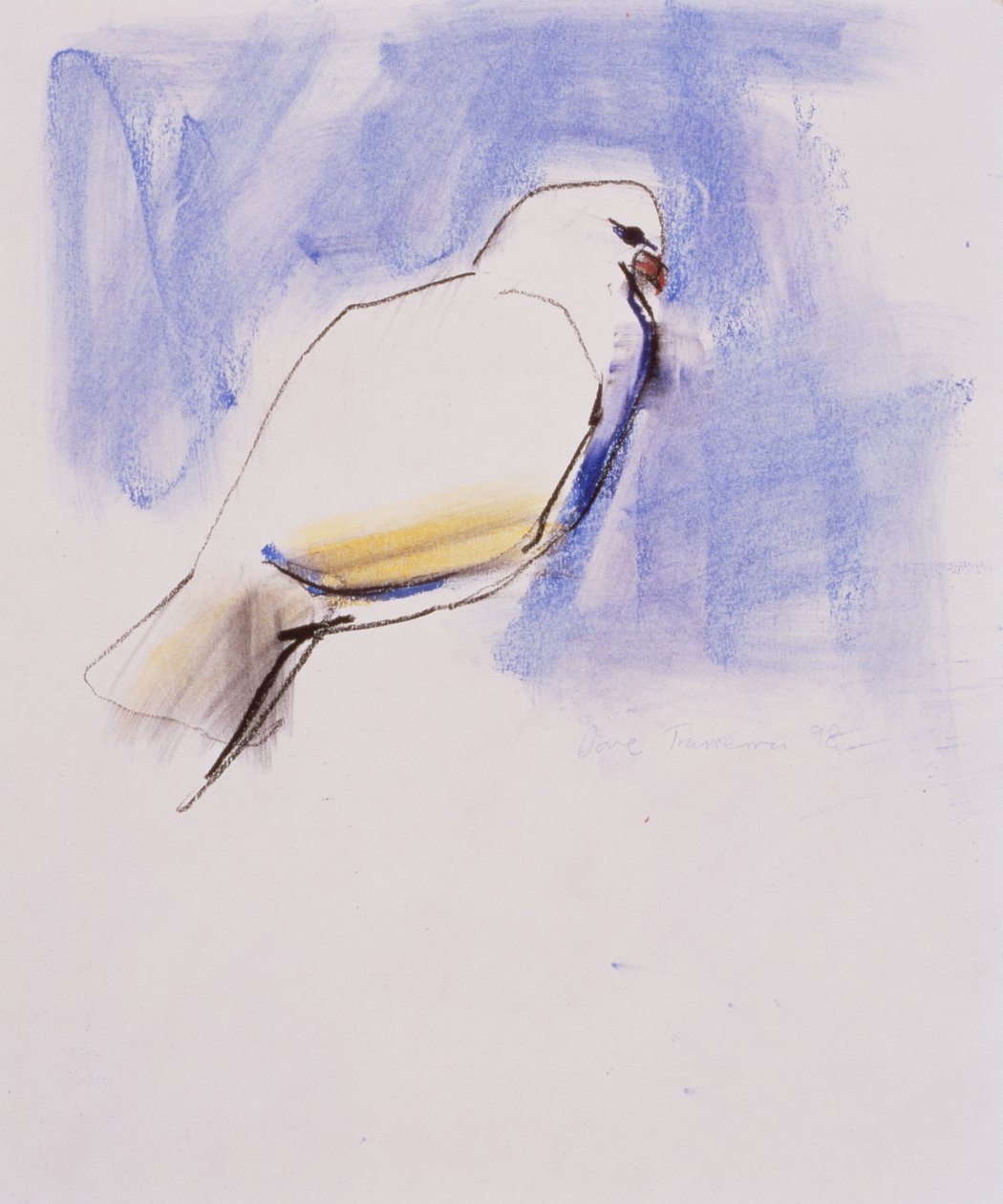 Dove, Trasierra, 1998 (grafit, dřevěné uhlí a conte na papíře) od Mark Adlington