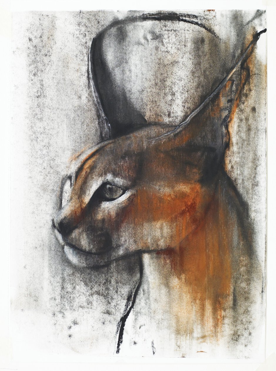 Egyptský (arabský Caracal), 2009 (conte und uhel na papíře) od Mark Adlington