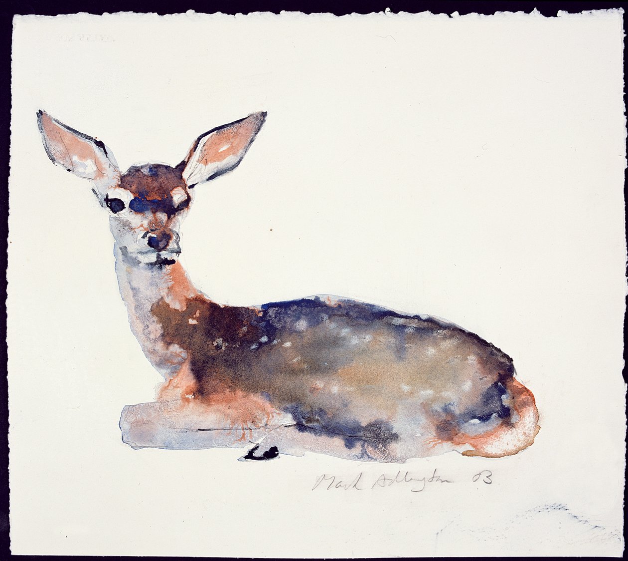 Fawn, 2003 (inkoust a akvarel na papíře) od Mark Adlington
