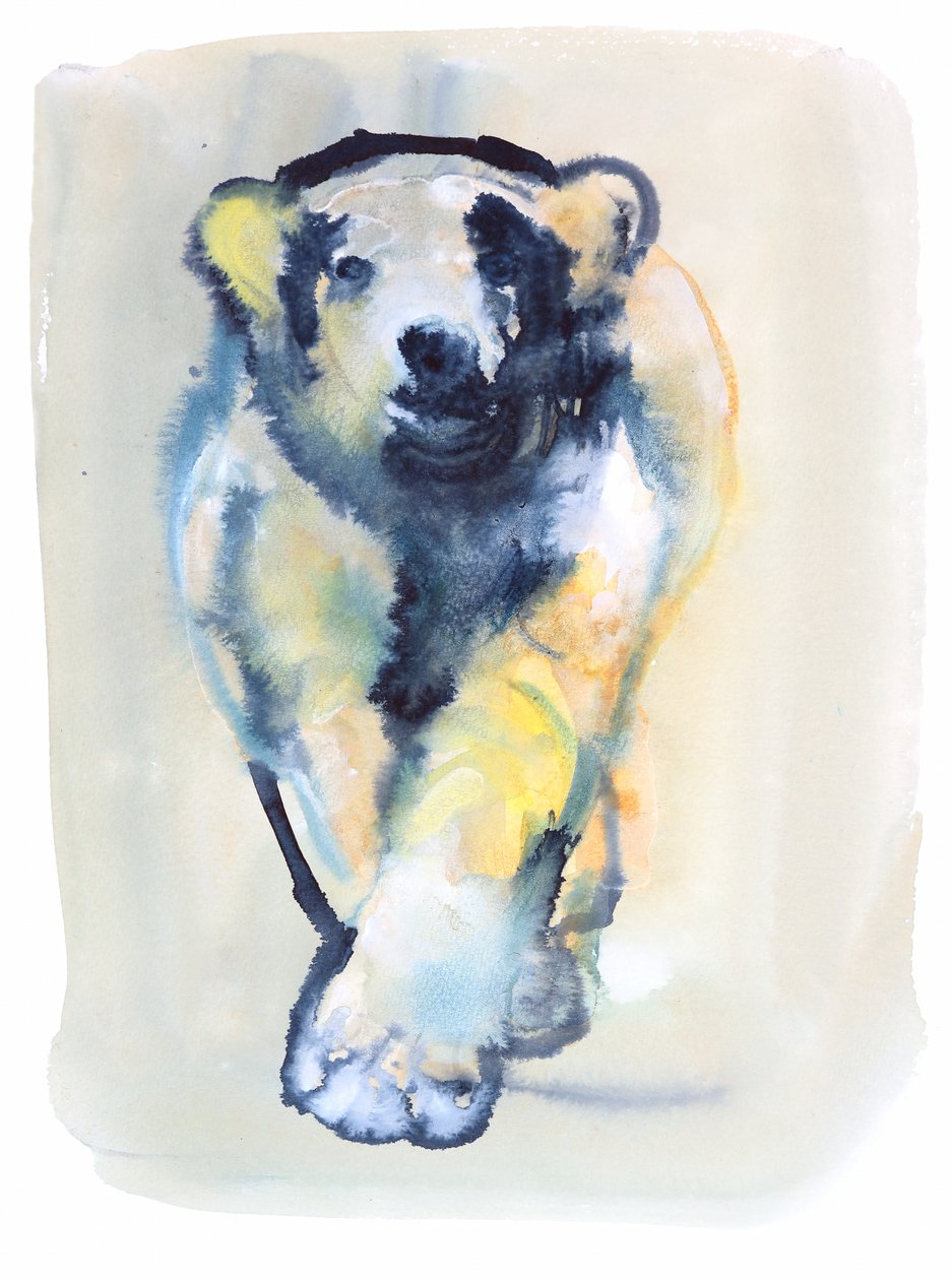 Fearless, 2015, (akvarel a kvaš na papíře) od Mark Adlington