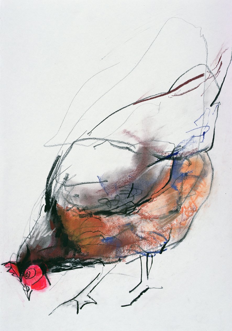 Feeding Hen, Trasierra, 1998 (grafit, conte a dřevěné uhlí na papíře) od Mark Adlington