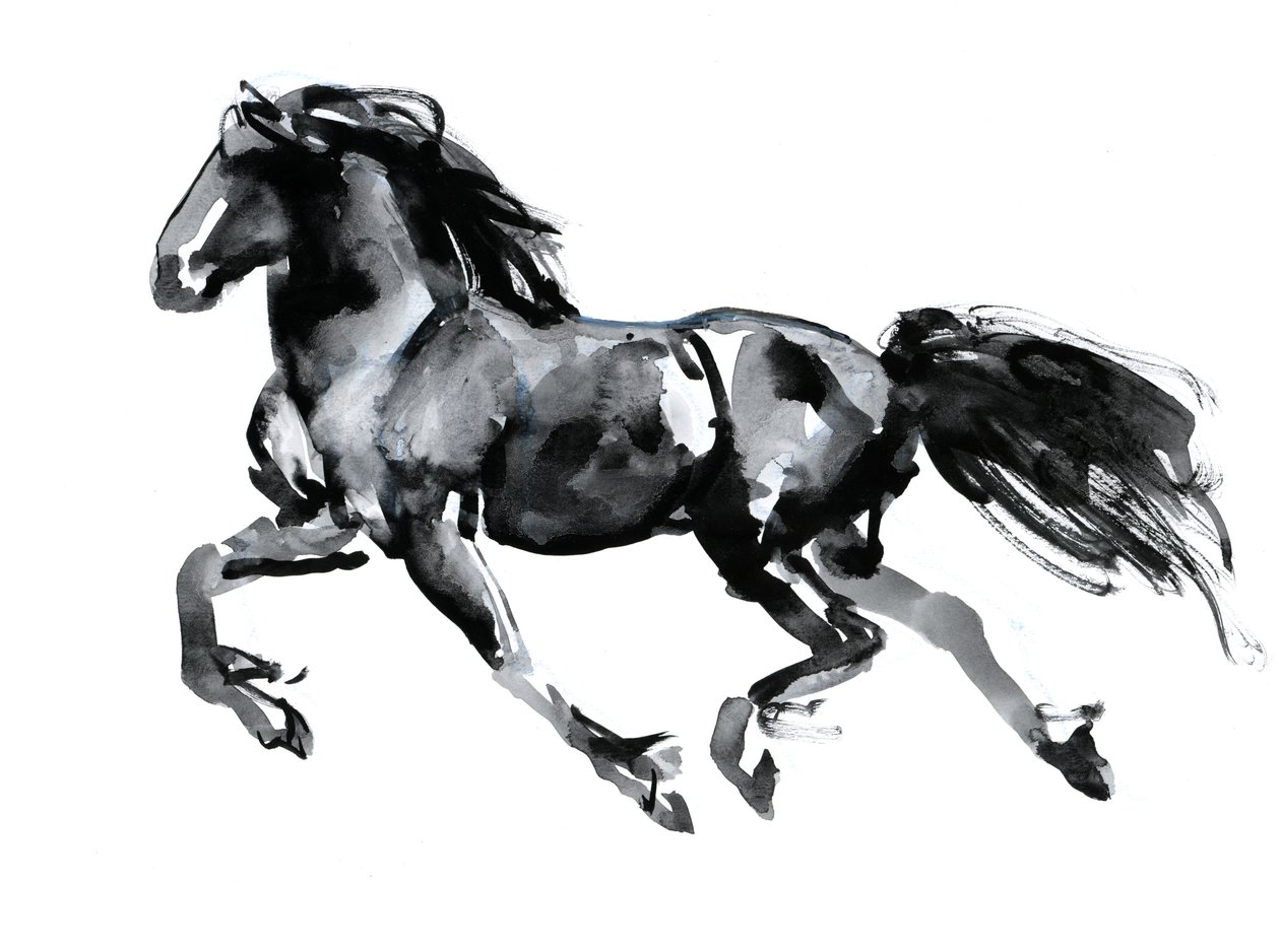 Flying Friesian, 2015, (čínský inkoust na papíře) od Mark Adlington