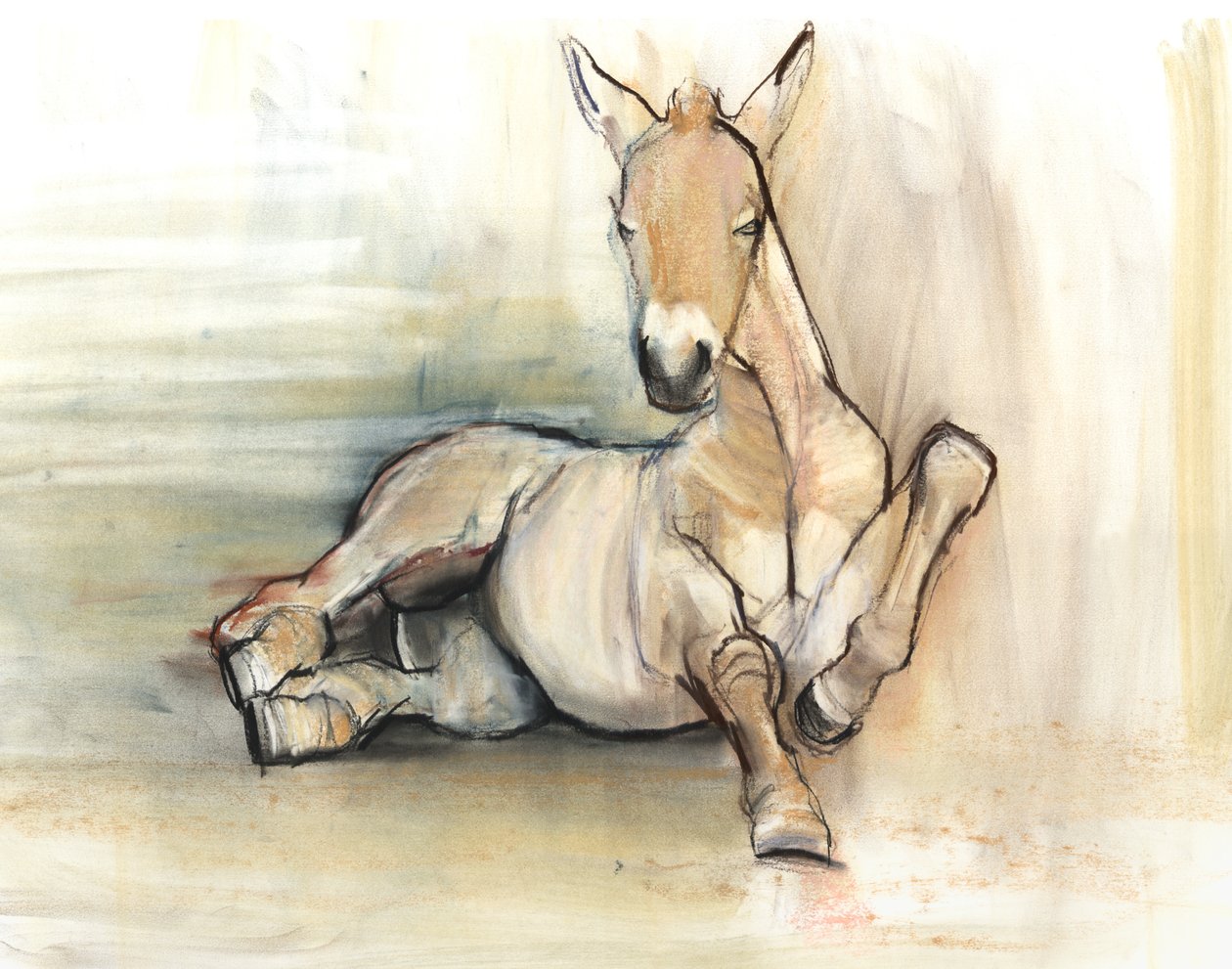 Hříbě, 2012, (uhelná kontura a pastel na papíře) od Mark Adlington