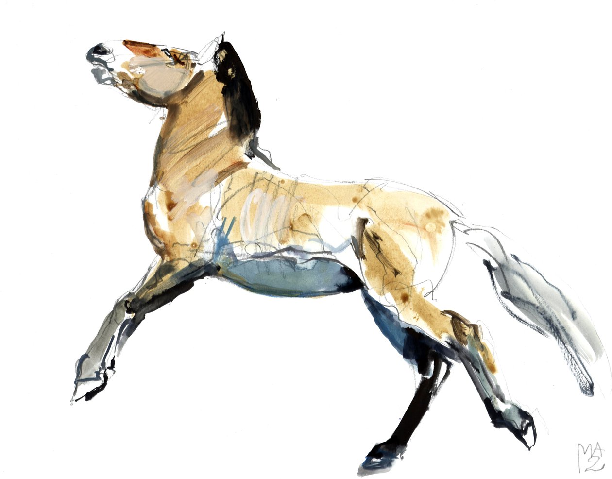 Zdarma (Przewalski), 2012, (kombinovaná média na papíře) od Mark Adlington