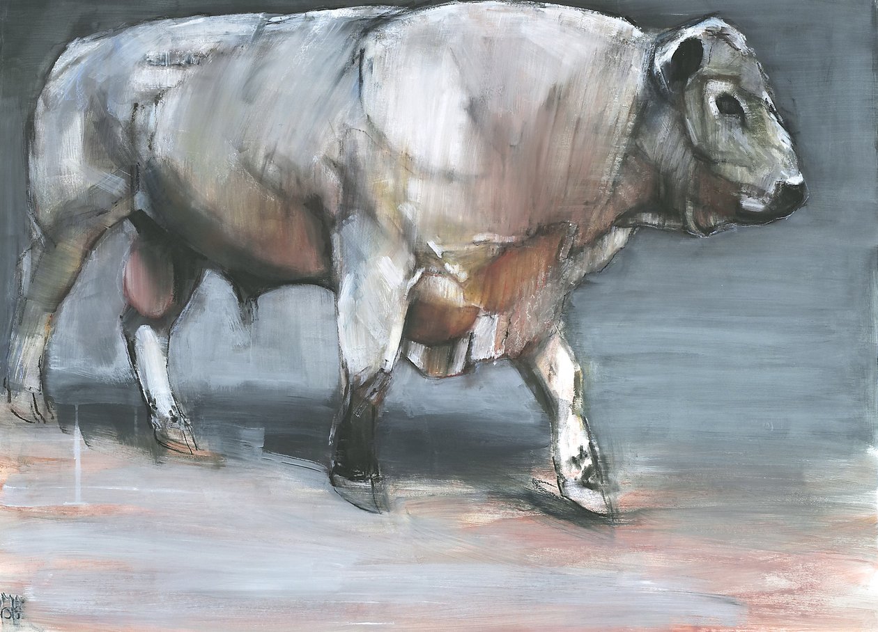 Fresno, Galloway Bull (kombinovaná média na papíře) od Mark Adlington